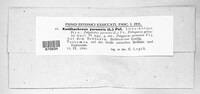 Image Associated With the Occurrence
